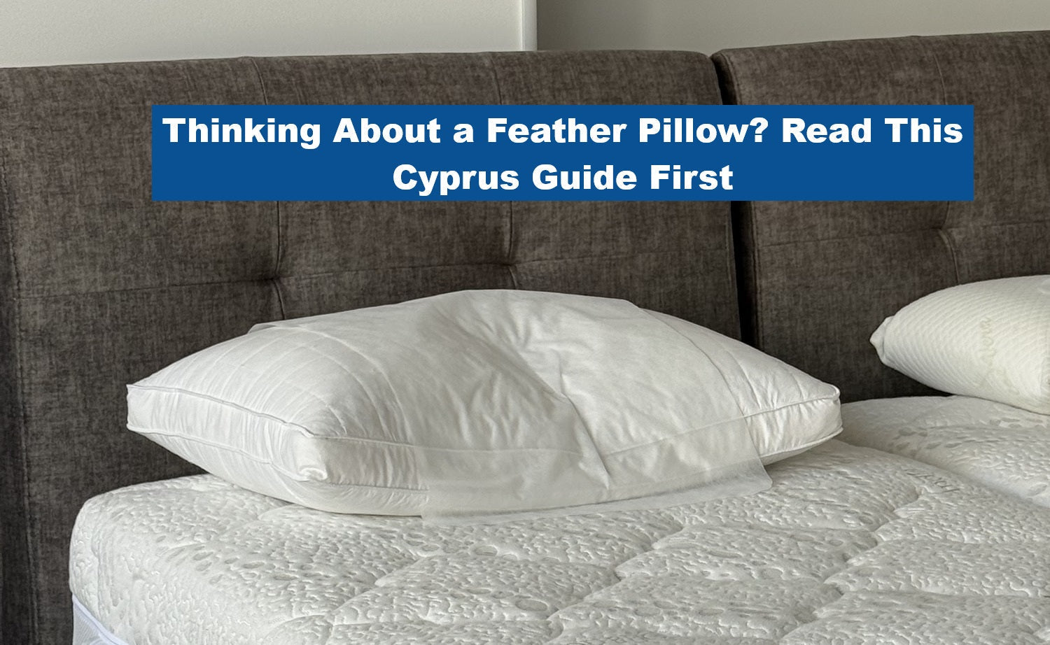 Feather pillow in Cyprus