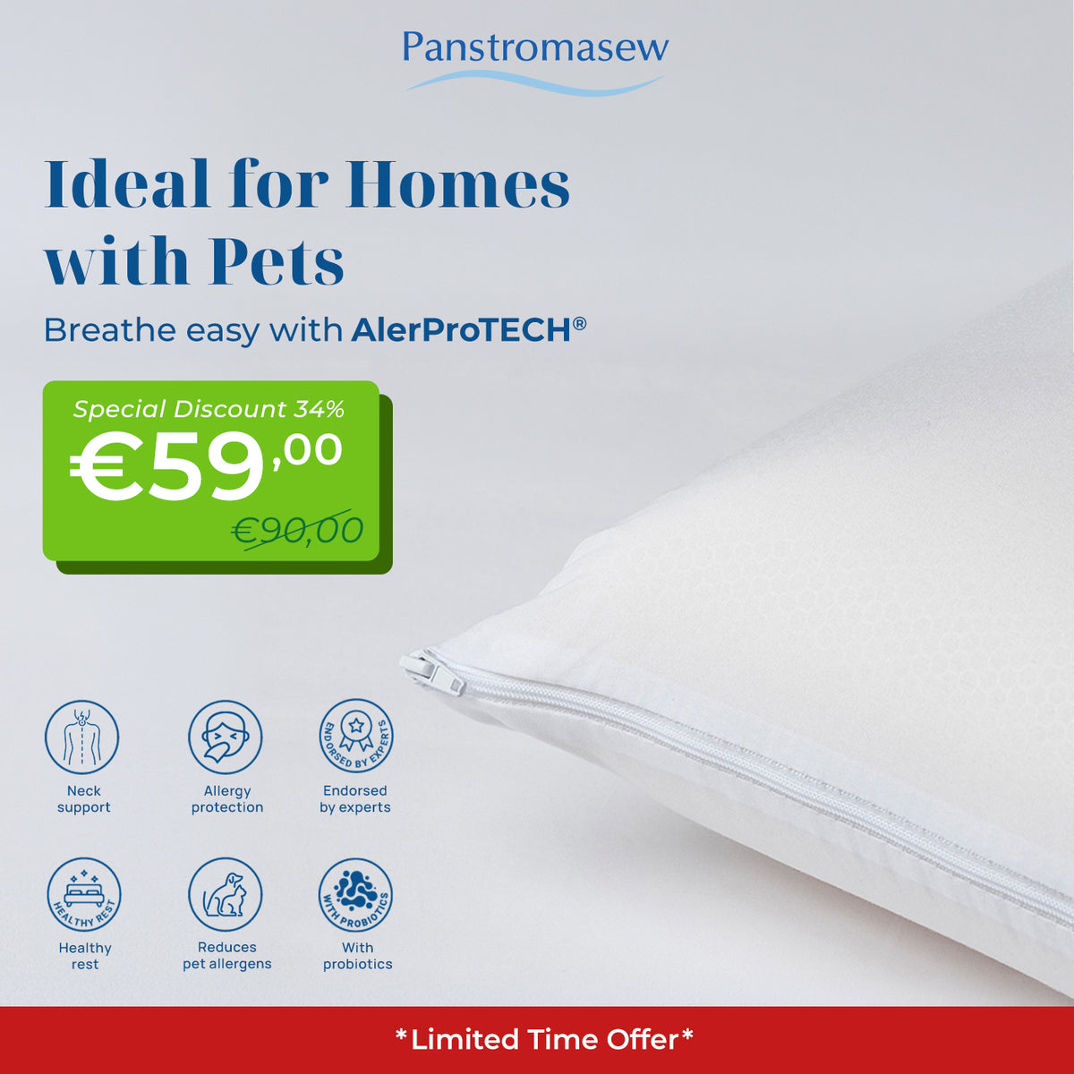 Viscopure Anti-Allergic Pillow